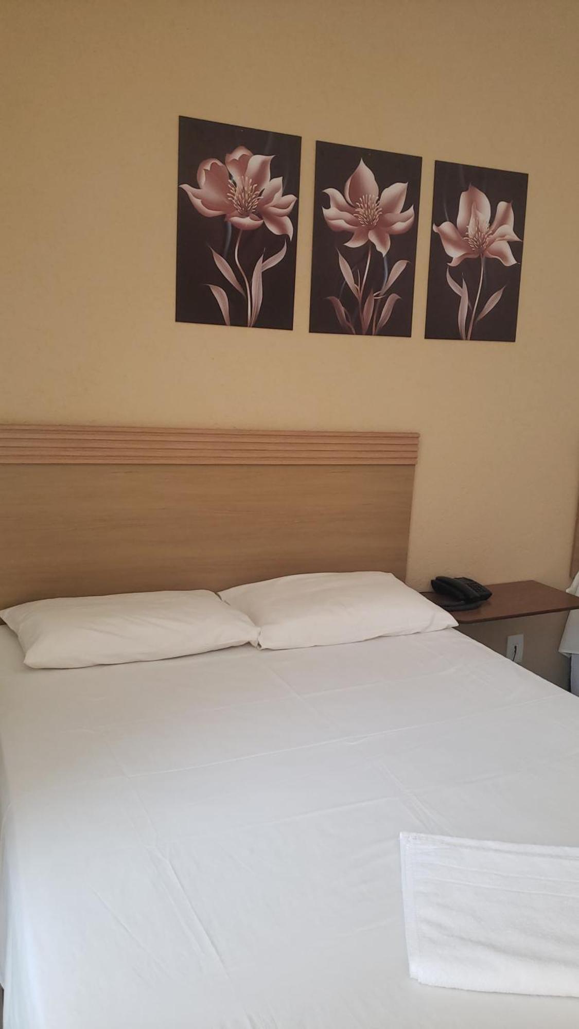 Hotel Flamboia Araraquara Eksteriør billede